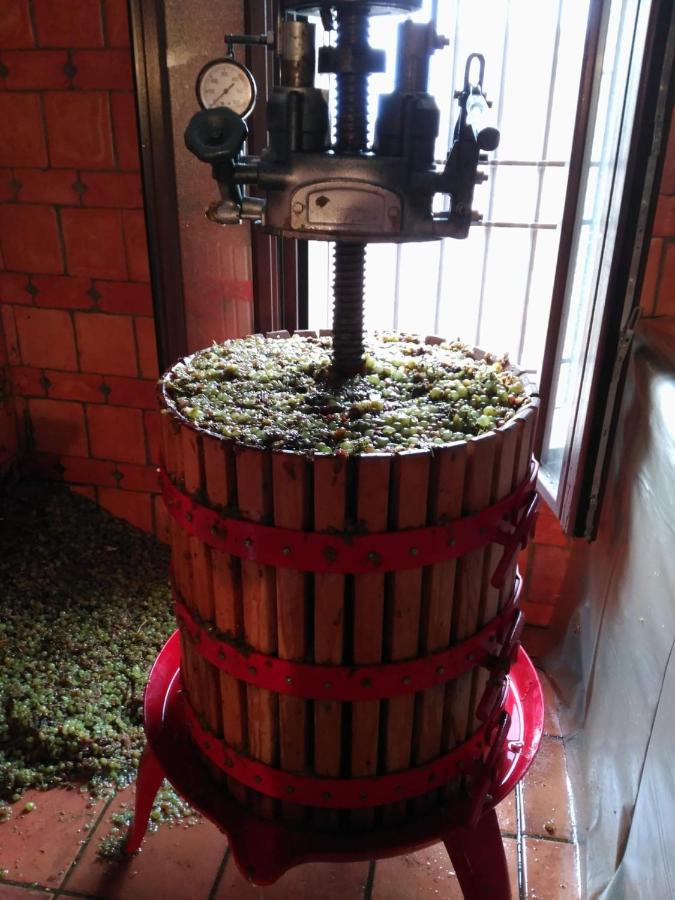 Casa Rural La Bodega, Ofrece Cata De Vino Gratis Horche ภายนอก รูปภาพ